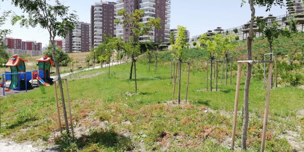 service-1 Ka Restorasyon Peyzaj 4 1024x512